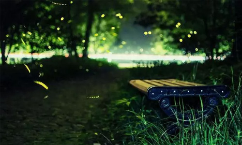 最后的同信府，最后的市中心庭院洋房