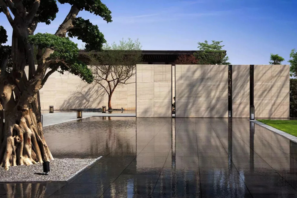 心之所向，桃花源！