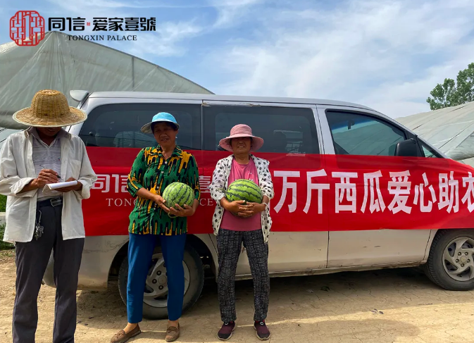 瓜甜心更甜|同信·愛(ài)家壹號(hào)采購(gòu)萬(wàn)斤西瓜愛(ài)心助農(nóng)在行動(dòng)！