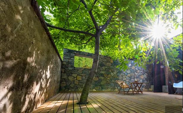 同信·愛(ài)家壹號(hào)|曾經(jīng)江湖策馬，如今院里觀花！