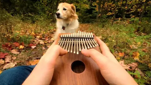 河畔有約丨看見指尖藝術(shù)，聆聽幻彩音符！